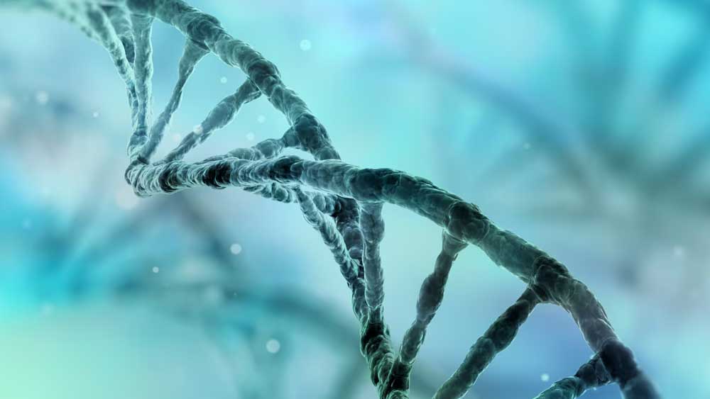 Invecchiamento e tumori, un intreccio molecolare con implicazioni terapeutiche
