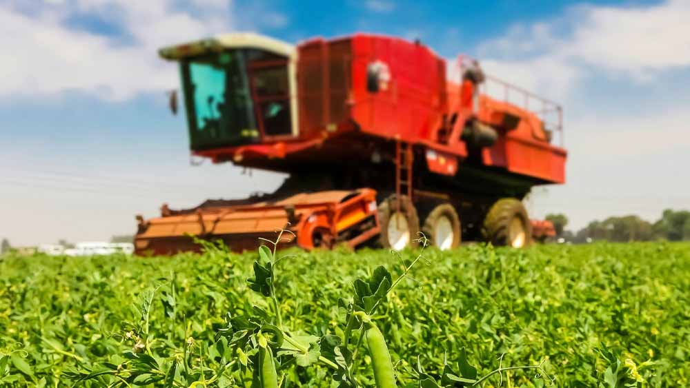 Fertilizzanti, il rischio che il caro energia diventi caro cibo