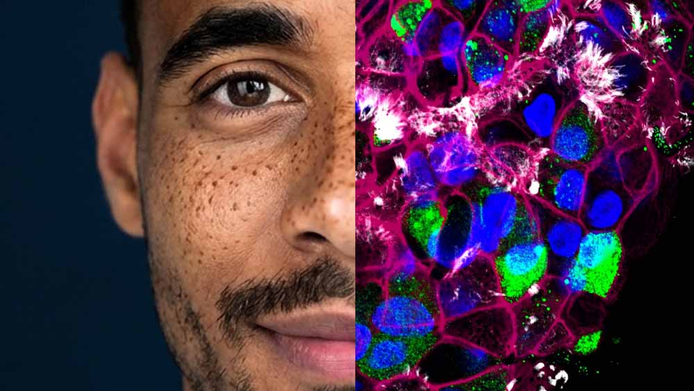 Intelligenza artificiale, la corsa globale ha bisogno di regole prima che diventi incontrollabile
