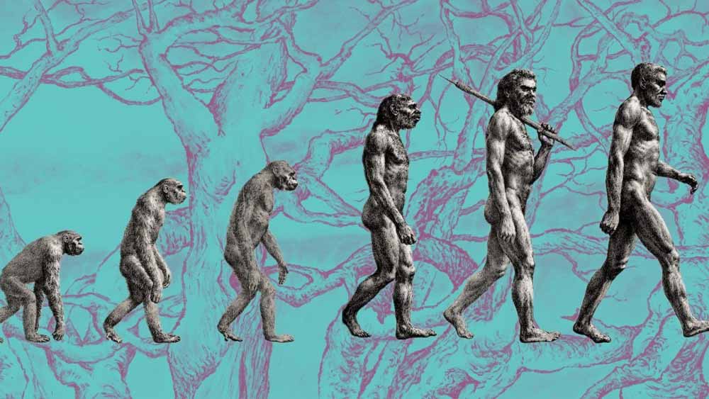 L&rsquo;essere umano &egrave; davvero una specie intelligente